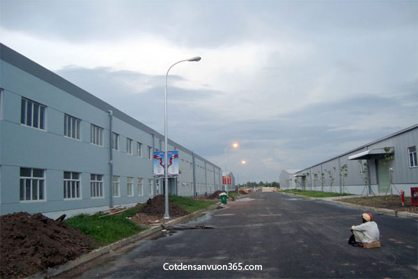 Cột Đèn Cao Áp 7m 3 Cột Đèn Cao Áp 7m Cột đèn sân vườn 365